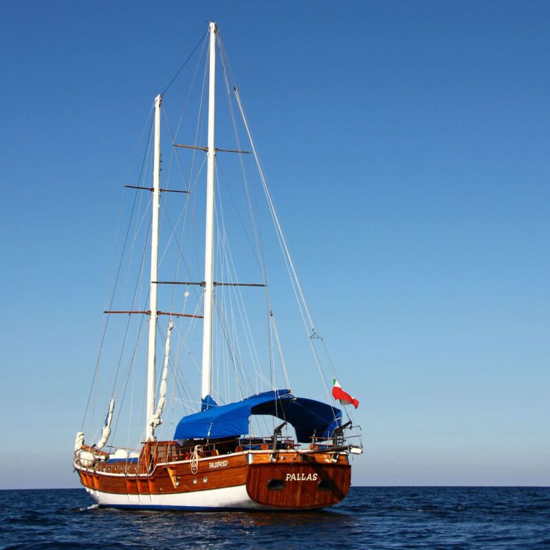 Départ du 16 mai à bord du Pallas