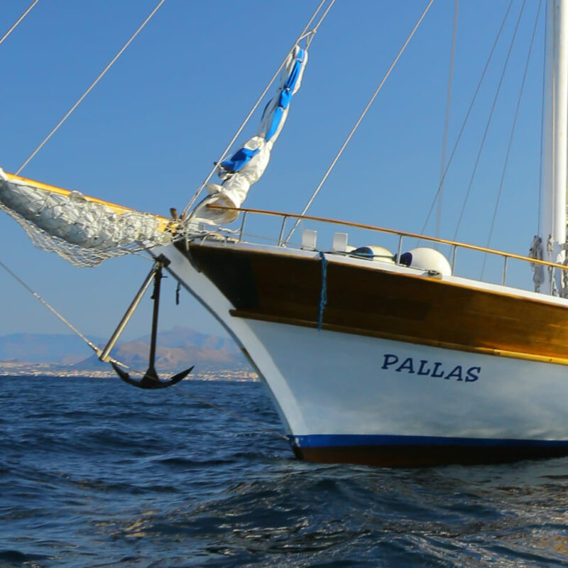 La Grande Odyssée à bord du Pallas