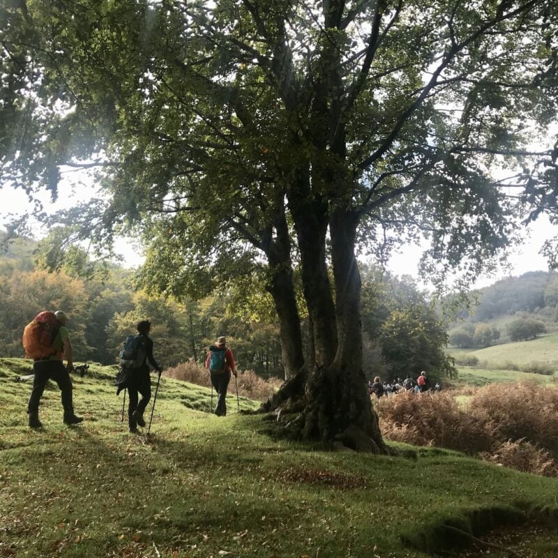 Sicile en Novembre: où aller en vacances