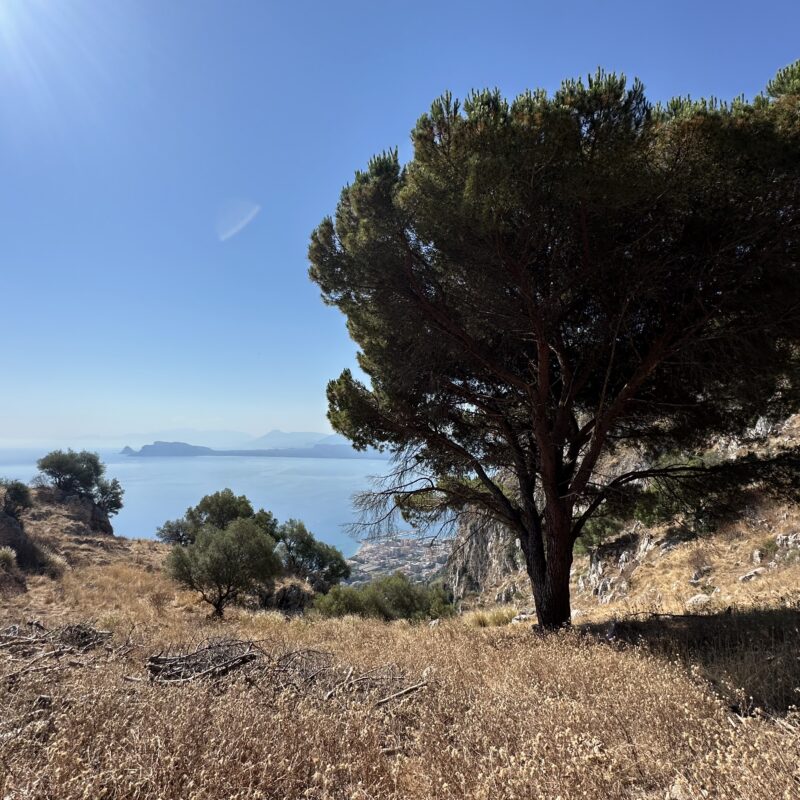 Campagnes siciliennes, en dehors des sentiers battus