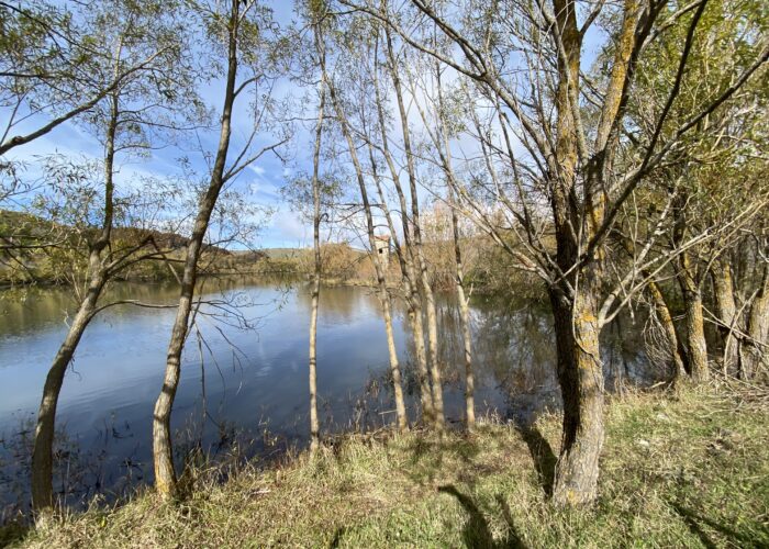 Les Nébrodi : forêts denses, lacs d&rsquo;altitude et bourgs suspendus