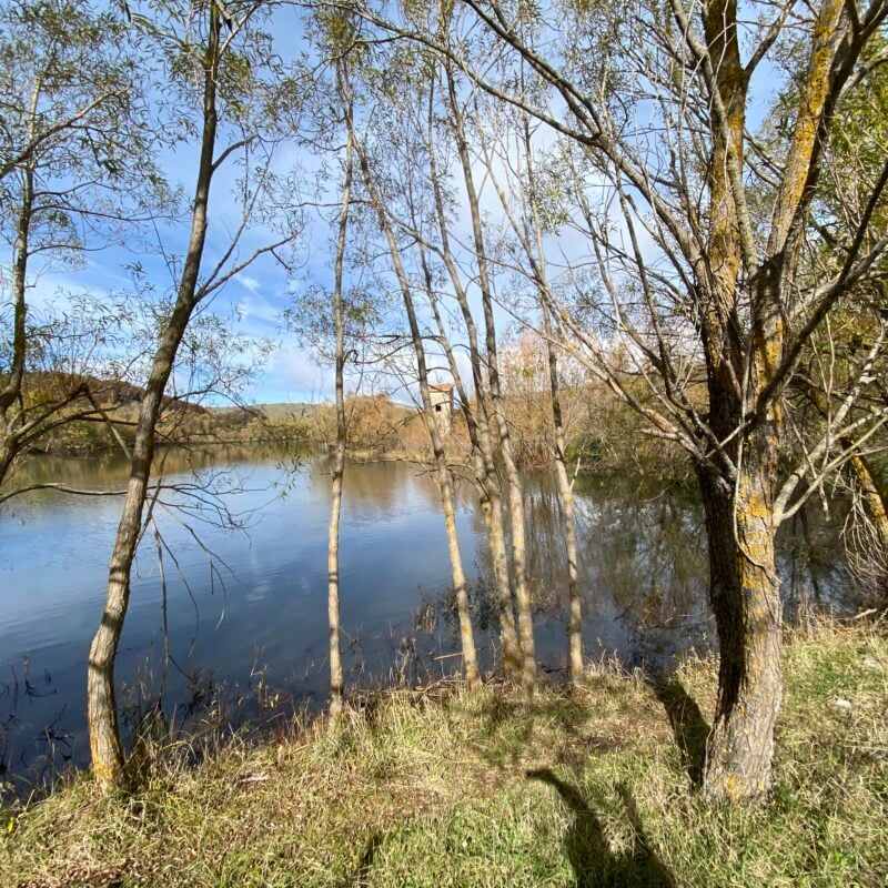 Les Nébrodi : forêts denses, lacs d&rsquo;altitude et bourgs suspendus
